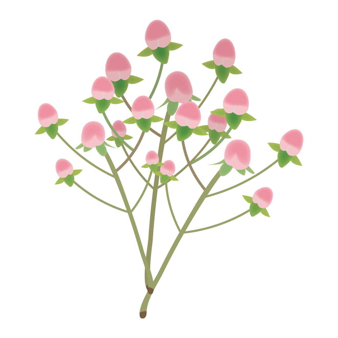 ピンクのかわいいお花 ヒペリカムの フリー イラスト 商用フリー 無料 のイラスト素材なら イラストマンション
