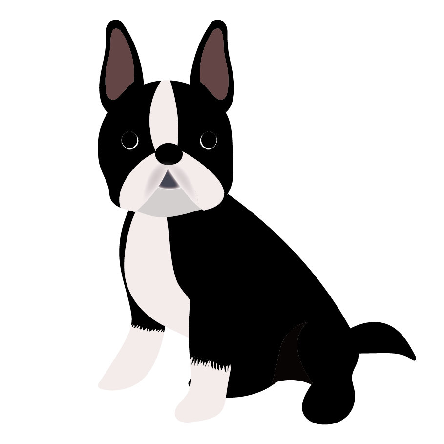 ボストンテリア 犬 のかわいい フリー イラスト 商用フリー 無料 のイラスト素材なら イラストマンション