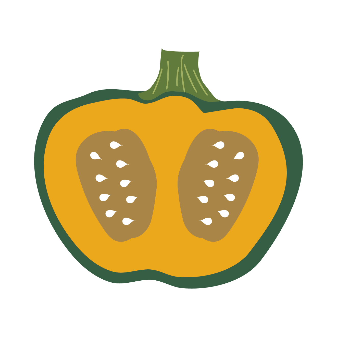南瓜（カボチャ・かぼちゃ）の半分にカットしたイラスト【野菜】 | 商用フリー(無料)のイラスト素材なら「イラストマンション」