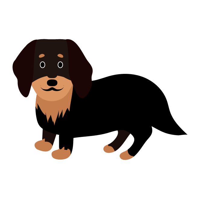 かわいい 黒の ダックスフンド 犬 の無料イラスト 商用フリー 無料 のイラスト素材なら イラストマンション