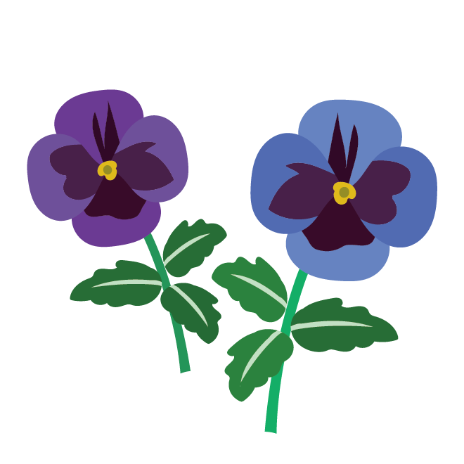 かわいい♪青（ブルー）と紫色のパンジー（花）の　フリー　イラスト