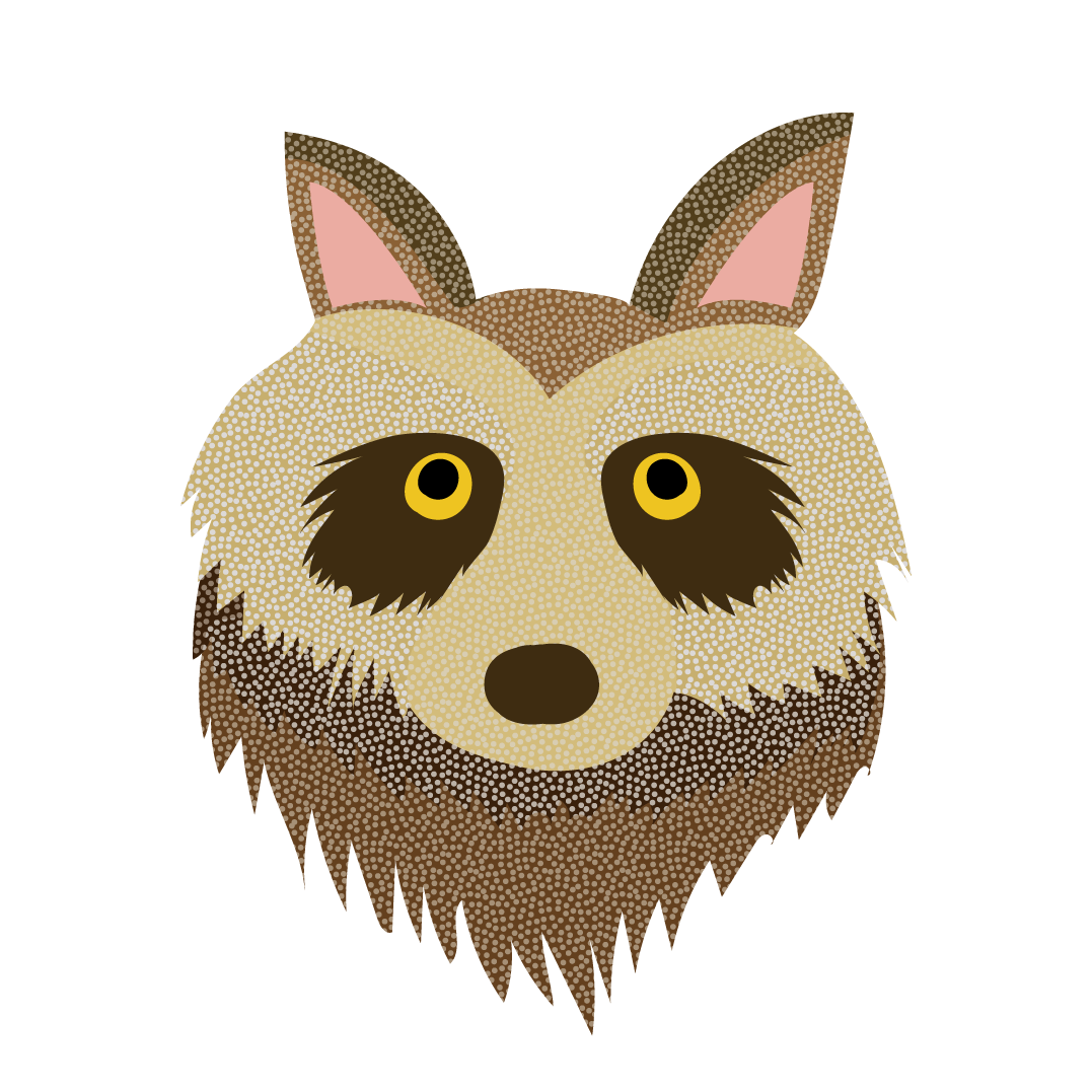 かわいい！たぬきの顔 のアップ♪（英語：raccoon dog）無料　イラスト