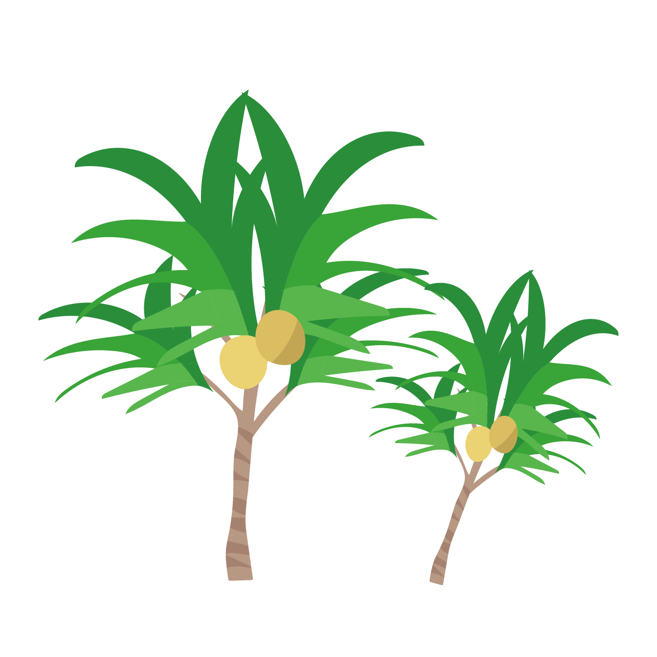常夏！椰子・ヤシの木のイラスト