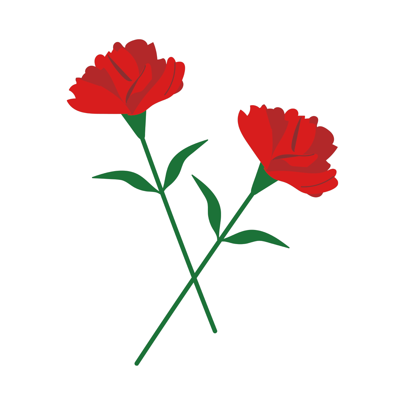 【花】２輪の花　母の日に赤いカーネーション　イラスト