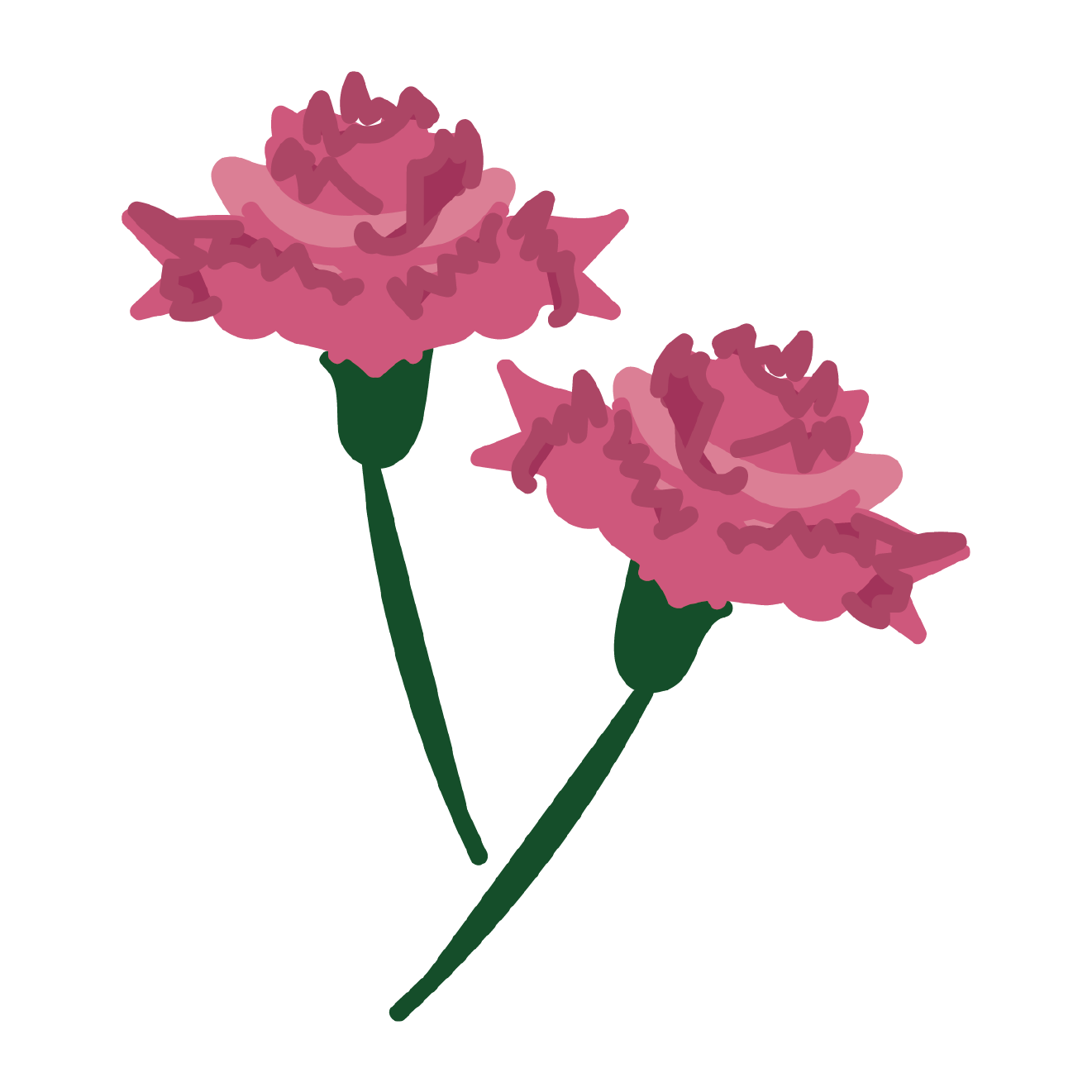 母の日の花 ピンク(桃色の）のかわいい！無料 カーネーション イラスト
