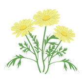 黄色の花 商用フリー 無料 のイラスト素材なら イラストマンション 黄色の花 商用フリー 無料 のイラスト素材なら イラストマンション