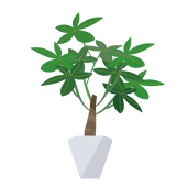 植物 観葉植物 エアープランツ 商用フリー 無料 のイラスト素材