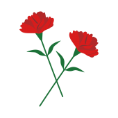 【花】２輪の花　母の日に赤いカーネーション　イラスト