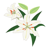 白の花 商用フリー 無料 のイラスト素材なら イラストマンション 白の花 商用フリー 無料 のイラスト素材なら イラストマンション