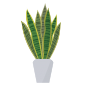 植物 観葉植物 エアープランツ 商用フリー 無料 のイラスト素材なら イラストマンション